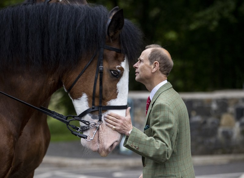 The Duke of Edinburgh admiring the Clydesdale horses at Garvagh Forest