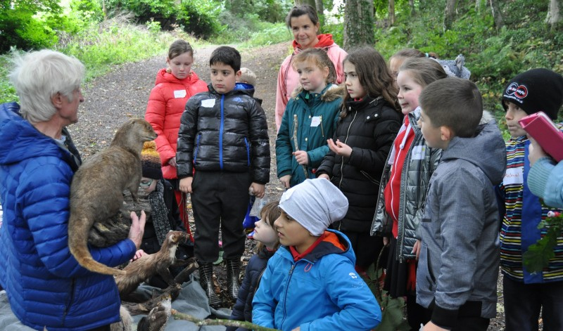 Pupils from St Malachy’s Primary School and The Irish Society Primary School in Coleraine pictured with David Thompson from Spouncer Ecology during a visit to Mountsandel Wood.
