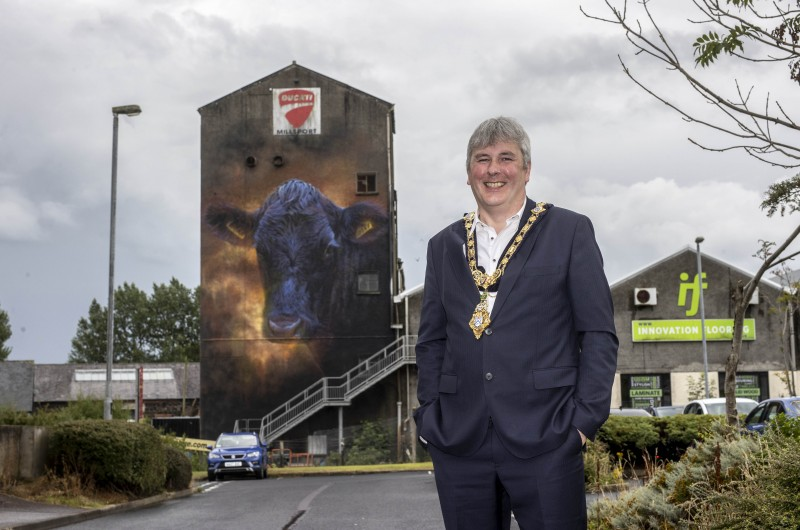 Mayor of Causeway Coast and Glens Borough Council, Councillor Richard Holmes views the new street art on the wall of the Old Mill on Seymour Street Ballymoney.