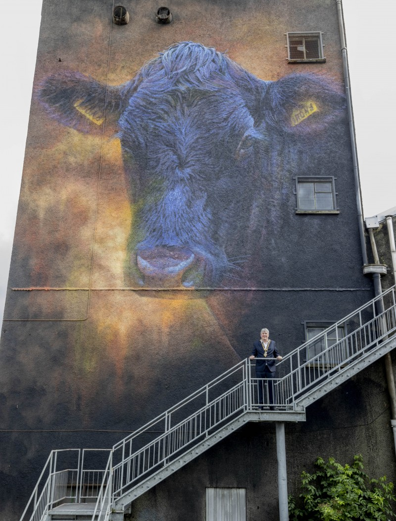 Mayor of Causeway Coast and Glens Borough Council, Councillor Richard Holmes shows the stunning scale of the new street art on the wall of the Old Mill on Seymour Street Ballymoney.