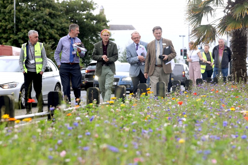 The Britain in Bloom judging panel join Council staff on their walk around as they admire wildflower planting along the roadside.