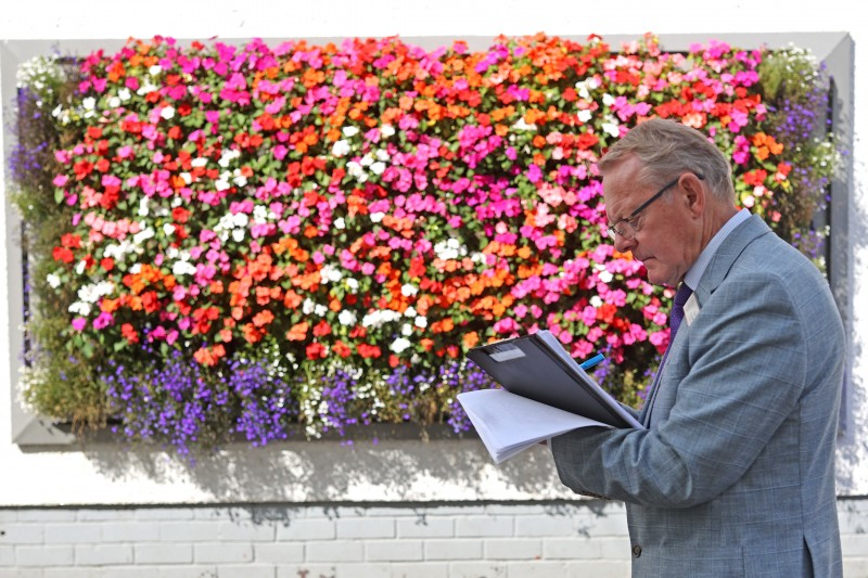 A living wall in Coleraine’s town centre provides another noteworthy point of interest for Britain in Bloom judge Rae Beckwith