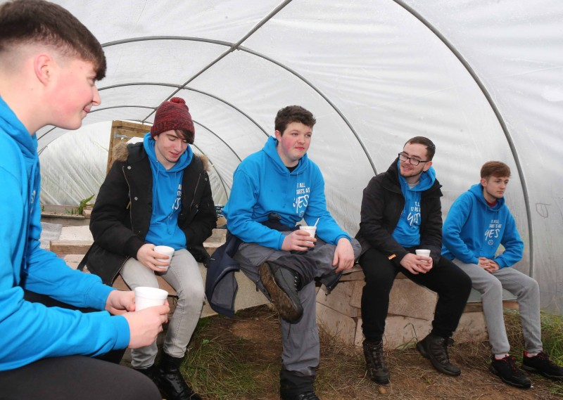 Cormac Cooke, David Futcher, Ethan Keenan, Zac Simpson and Chris Gillespie who took part in the ‘InTREEgration’ project at the Cornfield site.