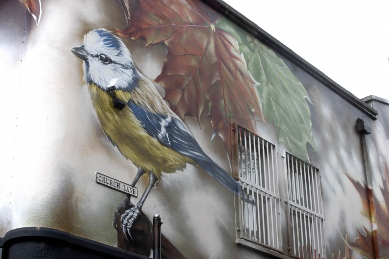Visitors to Coleraine will see the new street art throughout the town centre.