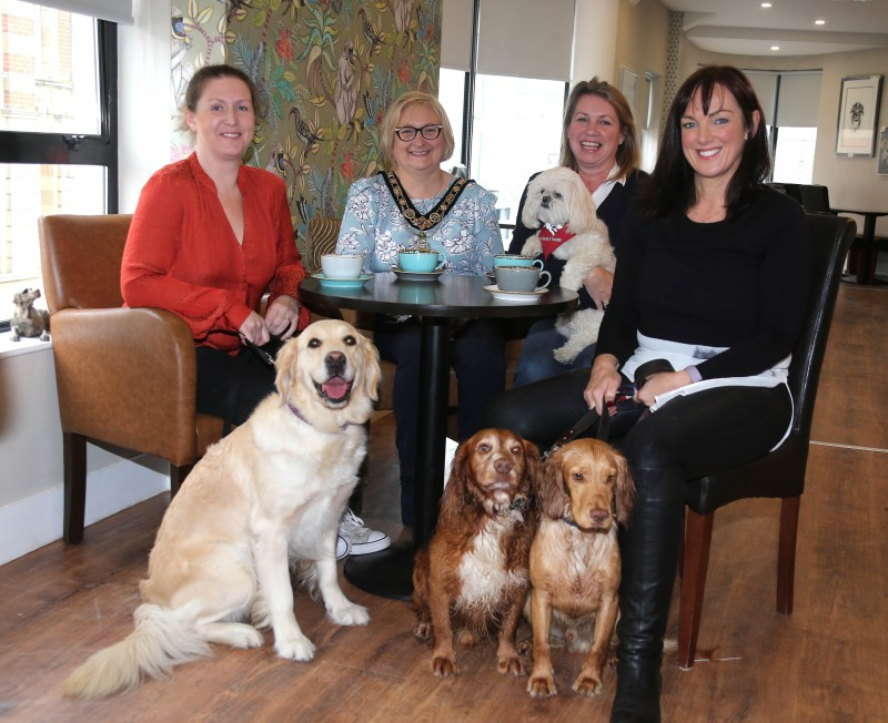 The Mayor of Causeway Coast and Glens Borough Council Councillor Brenda Chivers pictured at Tilly's dog friendly cafe in Portrush with owner Tara Neely, Joe Crossley from  Dog Friendly Tours and Adele Kennedy from the Inn on the Coast as they celebrate the Causeway Coast and Glens growing reputation as a dog friendly holiday destination.