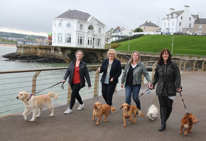 Adele Kennedy from the Inn on the Coast with her dogs Pablo, Lacey and PJ, Tara Neely owner of Tilly’s dog friendly cafe in Portrush with Rosie and Jo Crossley of Dog Friendly Tours with Georgie take a stroll along the promenade at East Strand in Portrush.