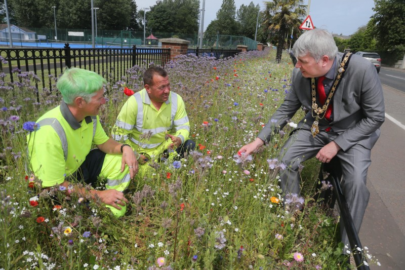 Winston Brogan and Rodney Boyd from Causeway Coast and Glens Borough Council’s Estates team speak to the Mayor about their involvement in creating and maintaining the wildflower bed at Anderson Park in Coleraine.