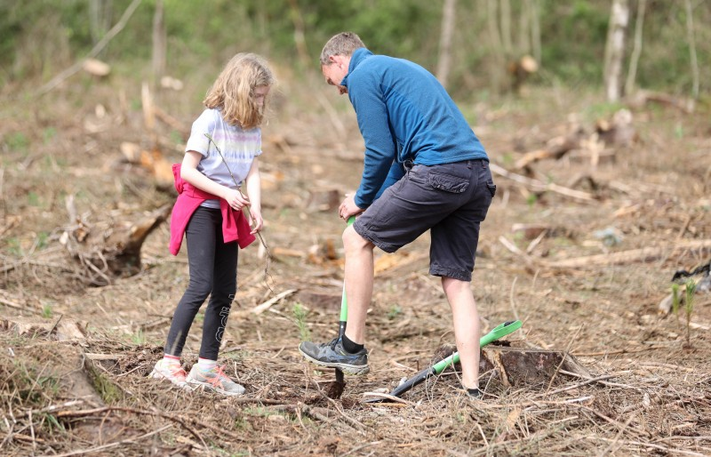 300 new trees have been planted at Drumaheglis Holiday Park and Marina as part of The Queen’s Green Canopy by volunteers including caravan park users and the local community.
