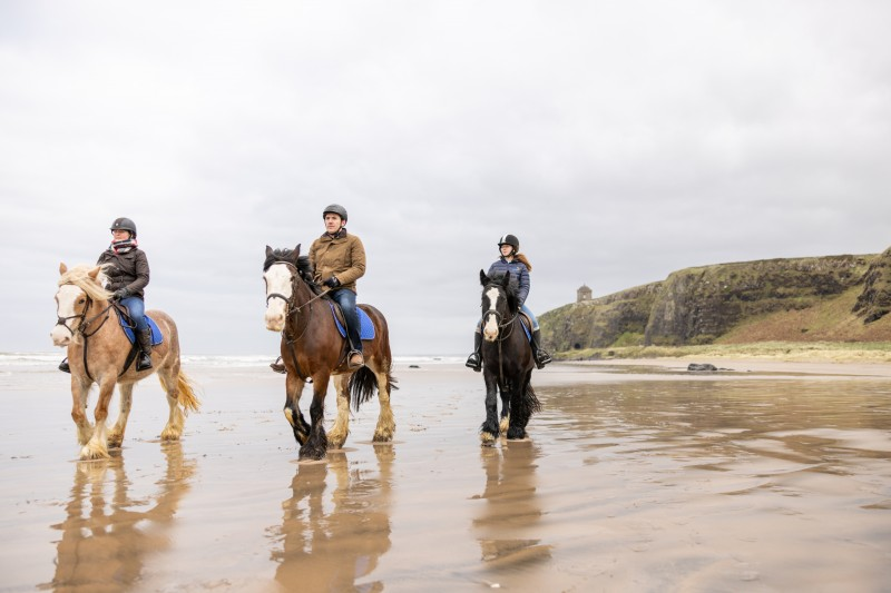 Causeway Coast and Glens Borough Council is appealing to horse riders and dog owners to ensure everyone can enjoy our outdoor spaces together.