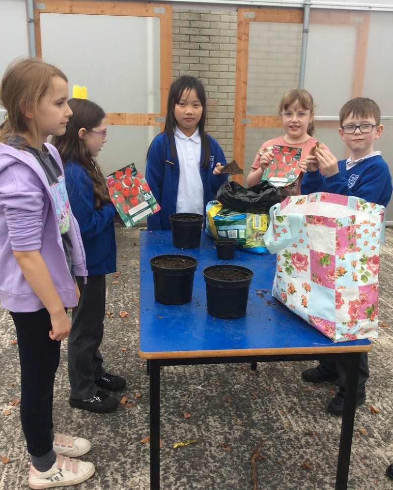 Children from Harpurs Hill Primary School getting ready to plant up their hanging baskets.
