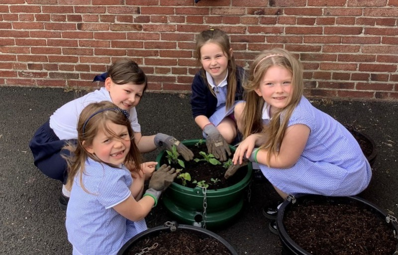 Killowen Primary School pupils making the finishing touches to one of their hanging baskets - see the finished display in Coleraine’s town centre this summer.