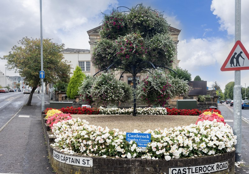 Coleraine- Winner of the Large Town/Small City Category in Translink Ulster in Bloom 2023
