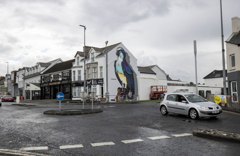 A sea eagle mural by artist Danleo takes flight on a gable wall overlooking The Diamond in Portstewart.