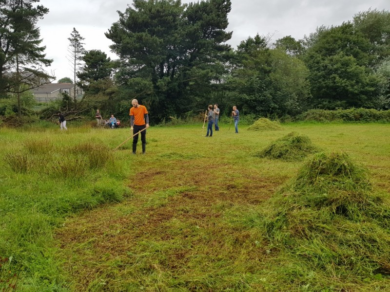 Meadow management in action at Riverside Park in Ballymoney during a scything event held in April 2019.
