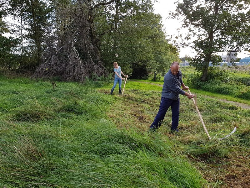 Volunteers use a scythe to cut back grass at Riverside Park in Ballymoney during an event held in 2019.