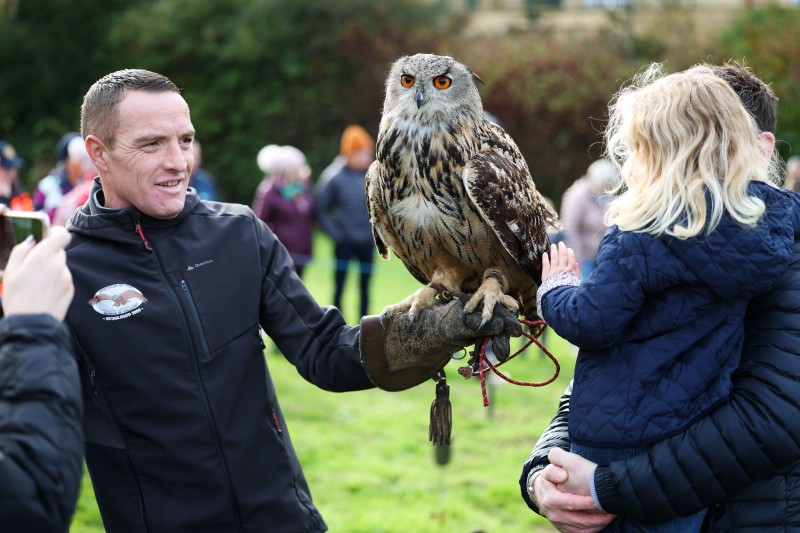 Falconry displays took place at Millennium Park during the Bushmills Salmon and Whiskey Festival
