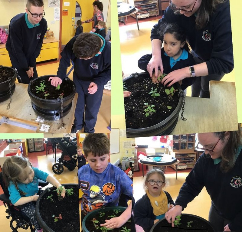 Children from Sandelford Special School enjoyed making up hanging baskets for Council’s Estates team’s venture with local schools.