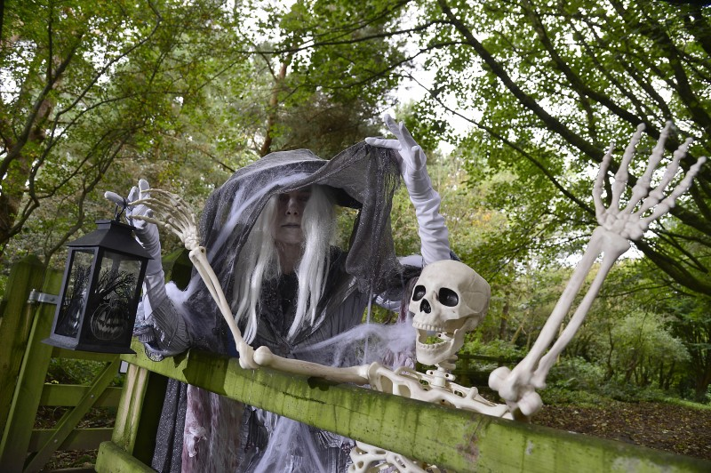 The ever-popular Halloween Happenings events are set to return to Coleraine, Limavady, Ballycastle and Ballymoney.