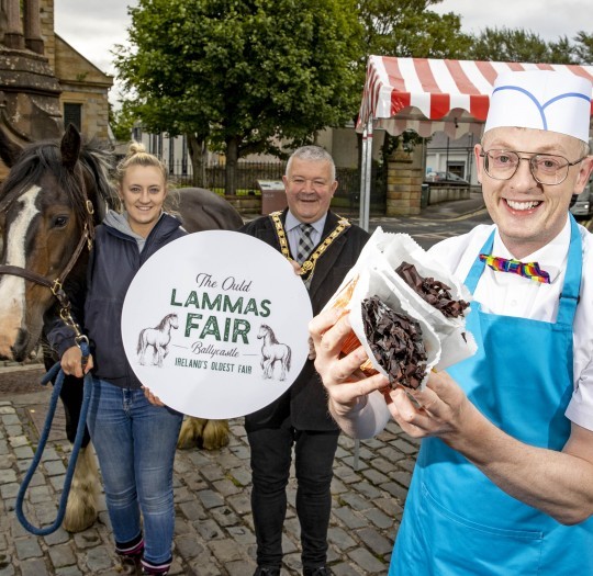Image of The Ould Lammas Fair 