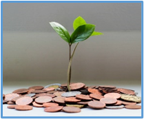 a small budding plant growing our of money