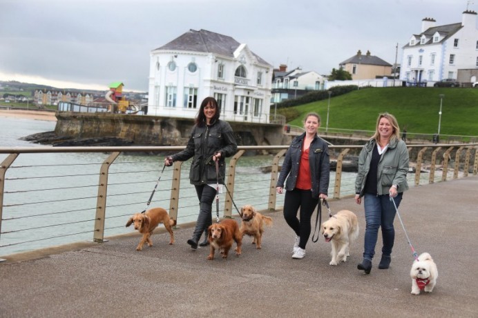 The new up-and-coming dog-friendly destination