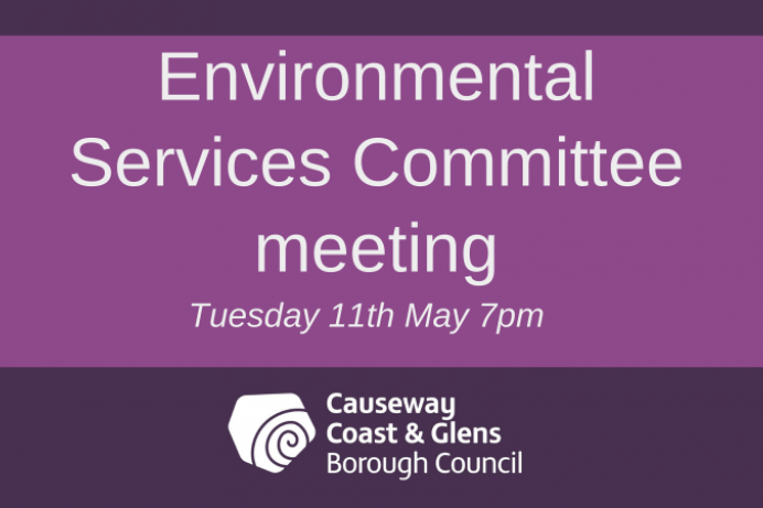 Environmental Services Committee meeting