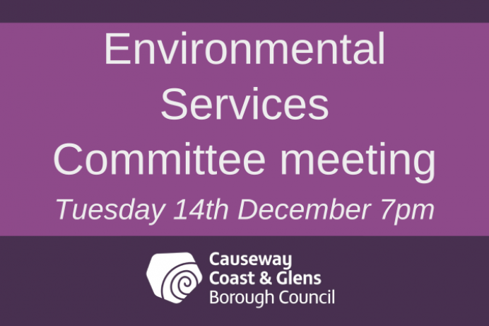 Environmental Services Committee meeting 