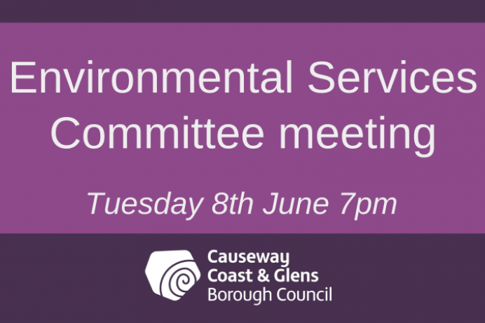 Environmental Services Committee meeting 