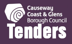 TENDER- BIDS ARE BEING WELCOMED FOR THE PROVISION OF FIREWORK DISPLAYS