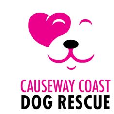 Causeway Coast Dog Rescue lead the way in developing partnerships to improve the welfare of dogs in Northern Ireland