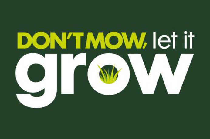 Dont Mow, Let It Grow educates local schools